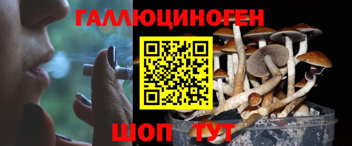 Псилоцибиновые грибы GOLDEN TEACHER  Вход с VPN  Лесной 