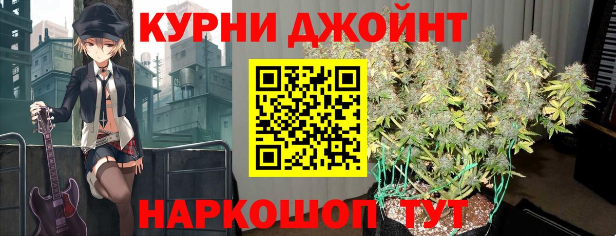 Бошки Шишки планчик  Вход с VPN  Лесной  Шишки марихуана ГИДРОПОН  Марихуана гибрид 